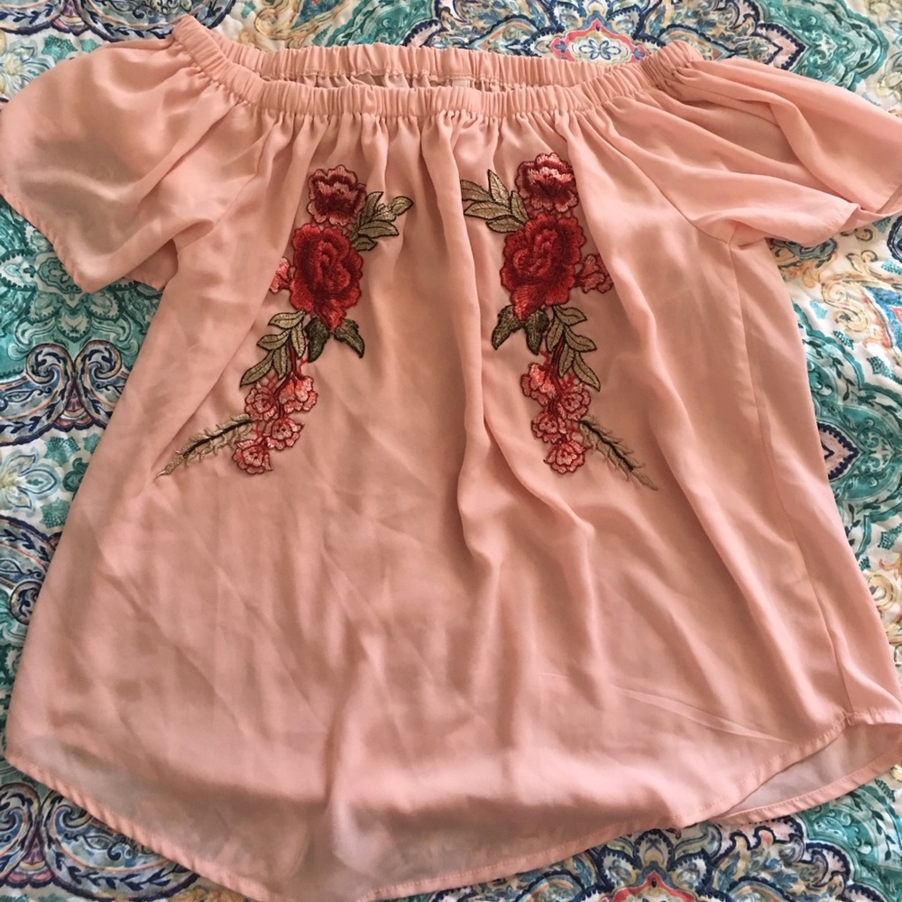 Sheer Pink Blouse